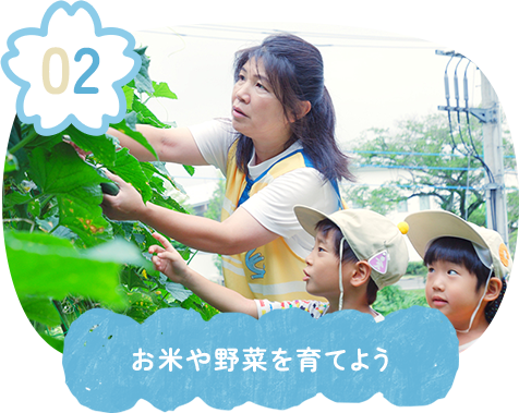 お米や野菜を育てよう