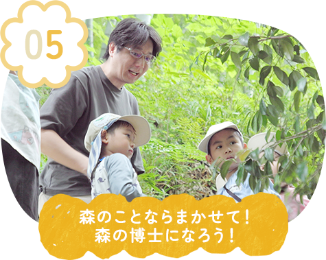 森のことならまかせて!森の博士になろう!