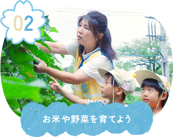 お米や野菜を育てよう