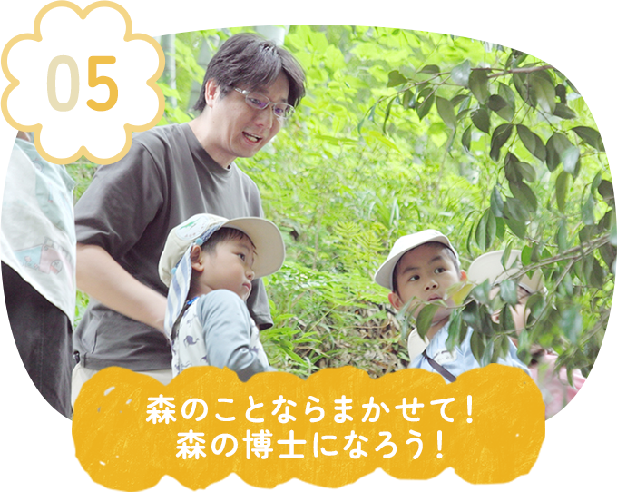 森のことならまかせて!森の博士になろう!