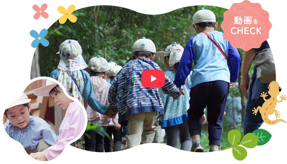 夢の森幼稚園について