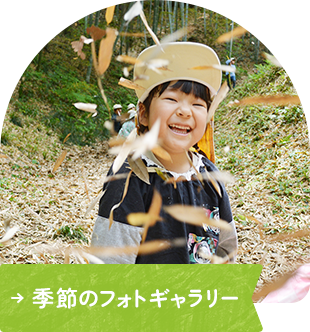 季節のフォトギャラリー