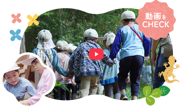 夢の森幼稚園について