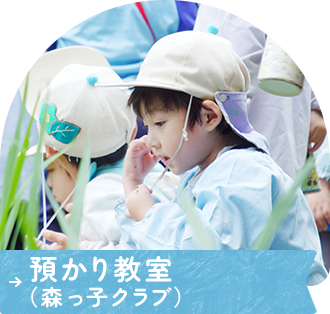 預かり教室(森っ子クラブ)