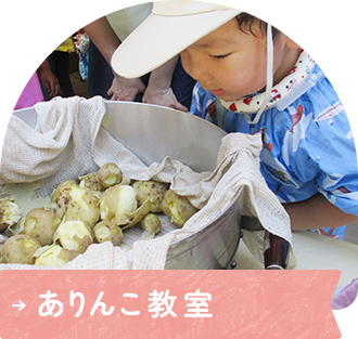 ありんこ教室