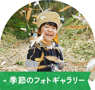 季節のフォトギャラリー